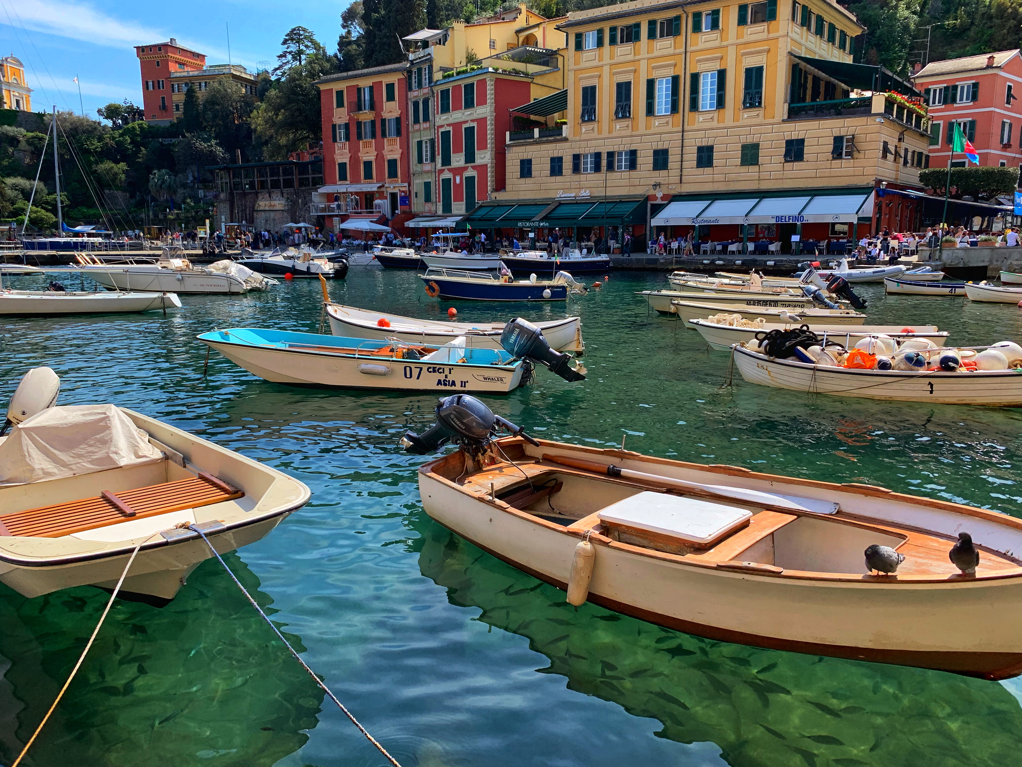 The Search for Italian Satisfaction