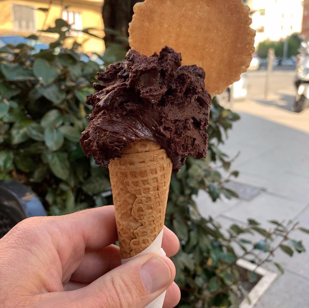 Melting (Literally) into My First Summer in Italia