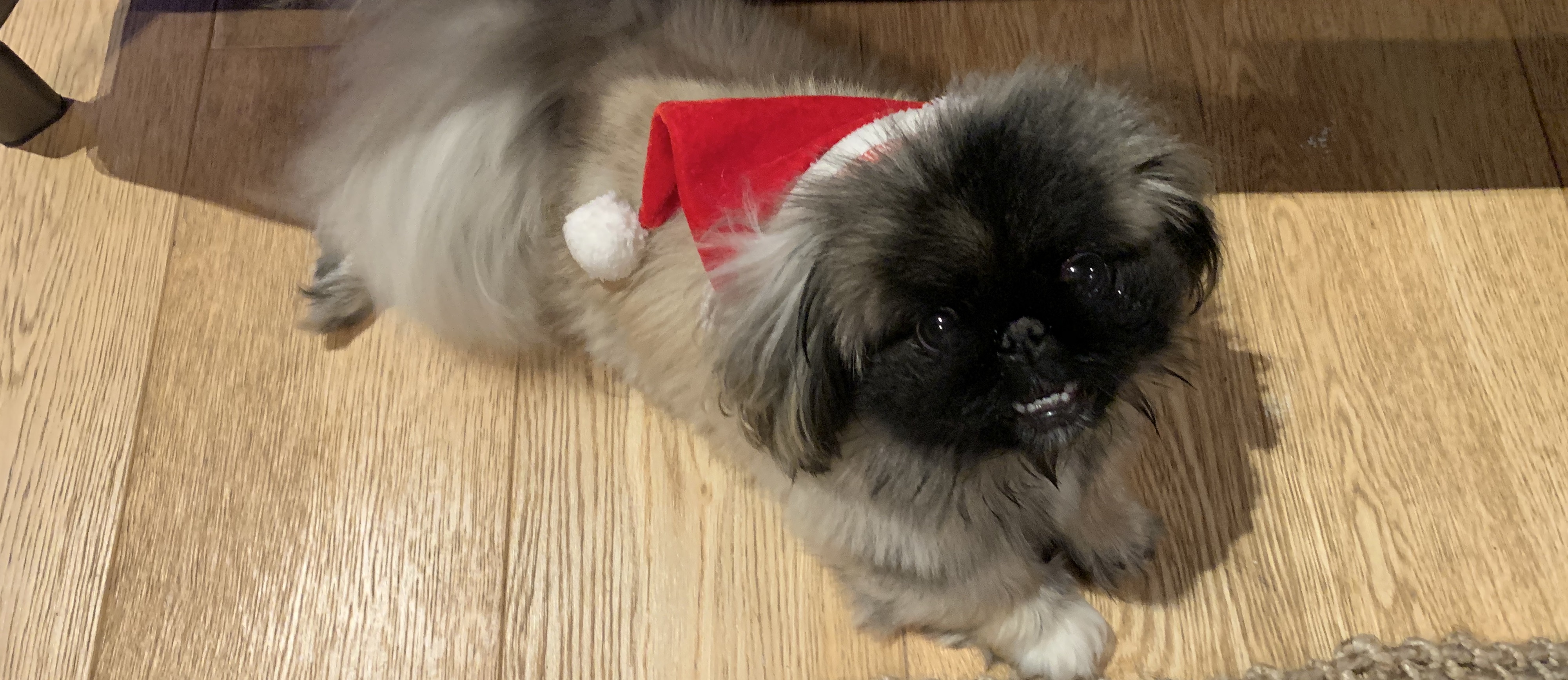 Oh God… We Need a Little Christmas Right Now