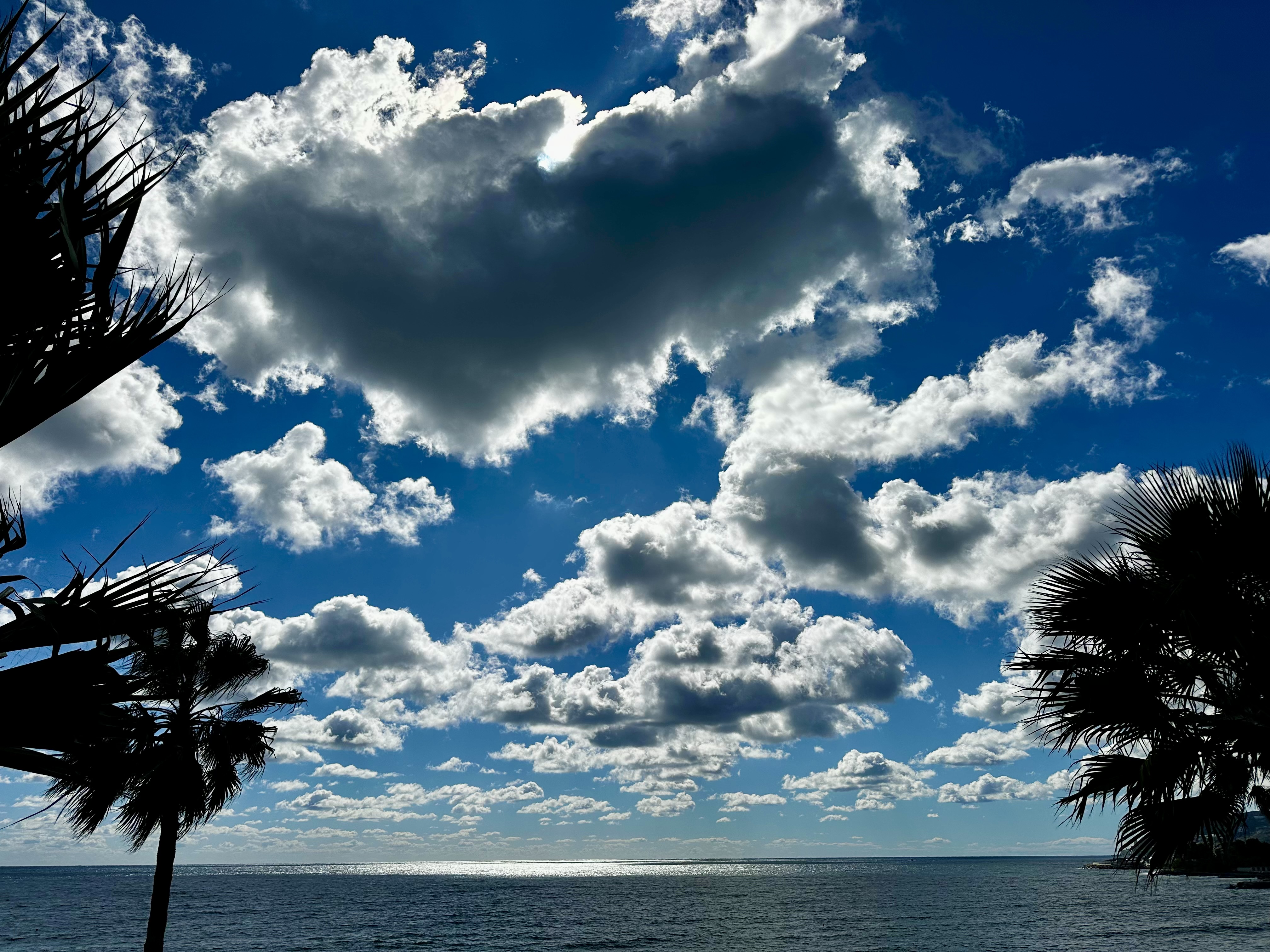 The Ultimate Blissful Ignorance: Summer on the Italian Riviera